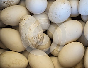 Many fresh duck eggs on sale at market.