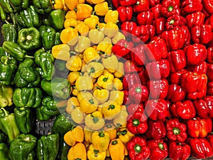 Many Fresh Green, Yellow and Red Capsicums in Shop