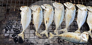 Many fresh mackerel grilled on net with charcoal stove at local street food market. Fish is good for healthy eating life style