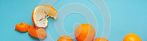 Many fresh orange fruits and peels on light blue background. Vibrant horizontal banner of citrus copy space top view