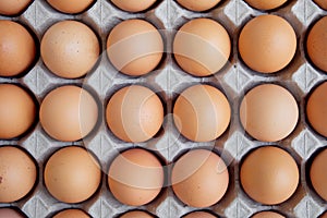 Many fresh raw egg chicken lined up in a row. Flatlay or Top view.