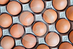 Many fresh raw egg chicken lined up in a row. Flatlay or Top view