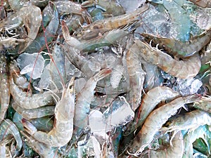Many fresh raw shrimps close up.