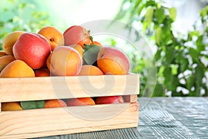 Many fresh ripe apricots in wooden crate on blue table against blurred background