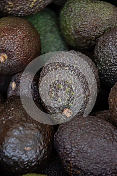 Many fresh ripe green organic avocados in box on farmers market in Spain