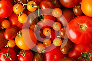 Many fresh ripe red and yellow tomatoes as background