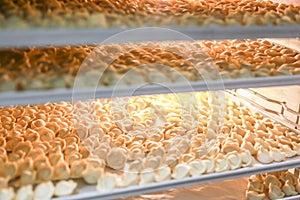 Many frozen dumplings in open manufacturing refrigerator. Frozen semifinished food storage racks