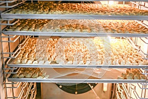 Many frozen dumplings in open manufacturing refrigerator. Frozen semifinished food storage racks