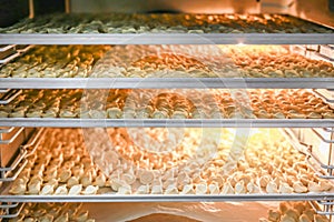 Many frozen dumplings in open manufacturing refrigerator. Frozen semifinished food storage racks