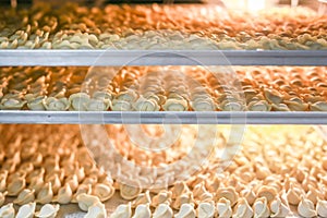 Many frozen dumplings in open manufacturing refrigerator. Frozen semifinished food storage racks