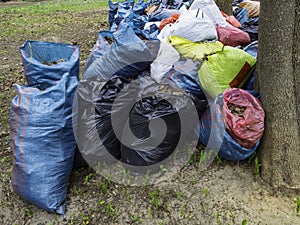 Many garbage bags with leaves on the ground. Cleaning of autumn foliage in park. Horizontal photo