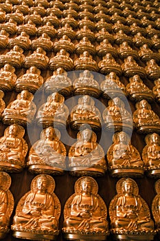 Many golden buddha image
