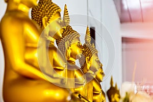 Many golden Buddha images