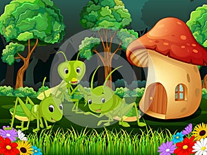 Many grasshopper and a mushroom house in forest