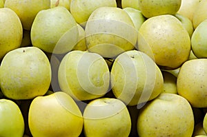 Many green apples photo