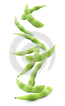 Many green edamame pods falling on white background