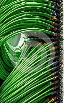 Many network wires connected to the server