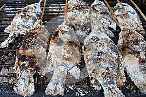 Many grilled snakehead fish