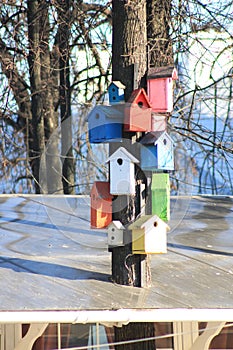 Many handmade birdhouses