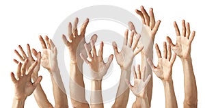 Many Hands Reaching Up photo