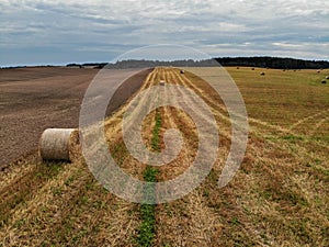 Many hay bales in the agricultural field