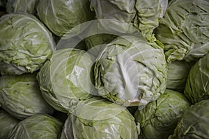 Many heads of lettuce