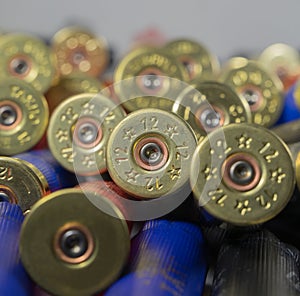 Many hunting cartridges close up