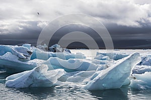 Many Ice Blocks at the Jokulsarlon Lake, Iceland
