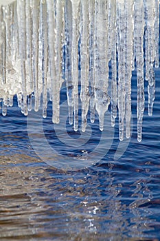 Many icicles hang over the water
