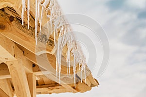 Many icicles melt on the wooden roof with water drops. Spring is comming.