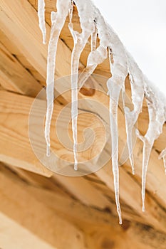 Many icicles melt on the wooden roof with water drops. Spring is comming.