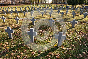 Many identical gray crosses in polish military cemetery. autumn and sunset of life. struggle for congregation and independence of