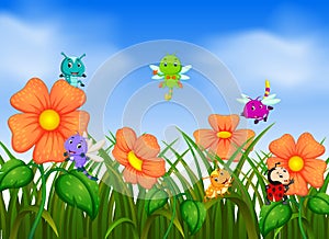 Many insect flying in flower garden