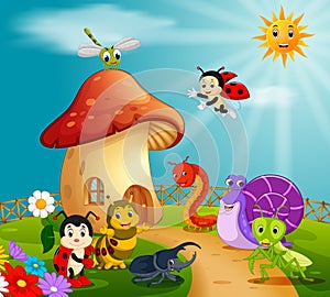 Many insect and a mushroom house in forest