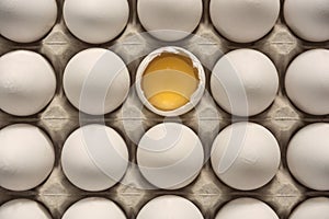 Many intact eggs and one broken egg shell with visible egg yolk, vitellus. photo