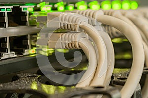 Many Internet cables are  in the server room of the data center. Bunch of patchcords are connected to a managed switch.  Network