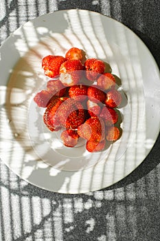 Many juicy fresh ripe red strawberry berries lie in a white ceramic plate on the table under bright sunlight