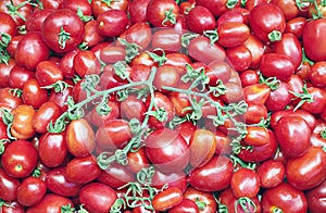 Many of juicy ripe red tomatoes