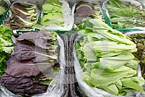 many kinds of vegetables in refrigerator