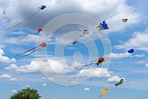 Many kites flying in amazing cloudy sky