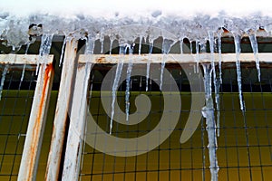 Many large and sharp icicles hang on the roof of the house