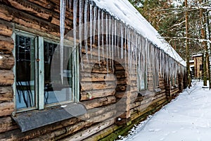Many large sharp icicles hanging from the roof of the log-house in the snowy forest