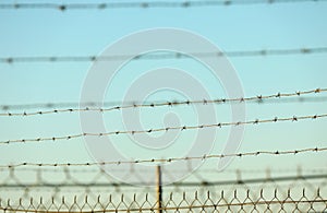 Barbed wire fence. Locked lock in or out. Freedom concept