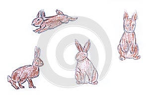 Many little Easter bunnies painted drawing