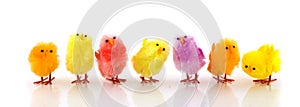 Many little easter chickens