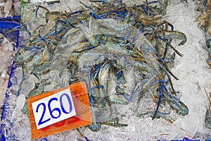 Many live freshwater prawns In the ice Price tag