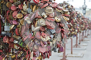 Many locks on the tree.