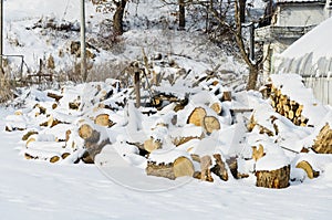 Many log covered by a white snow