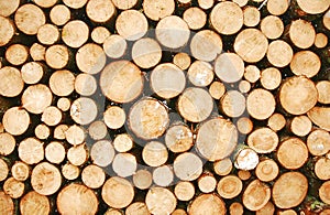 Many logs