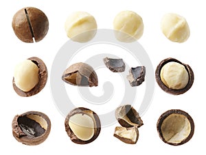 Many macadamia nuts isolated on white, collage